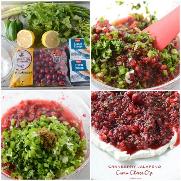 Cranberry-Jalapeno-salsa-dip-recipe-NoBiggie.net_.jpg