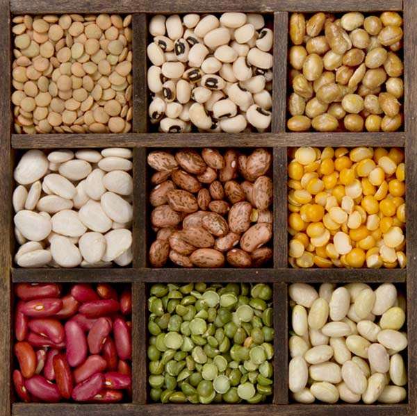 healthy_beans.jpg